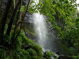 Visite de la petite cousine !